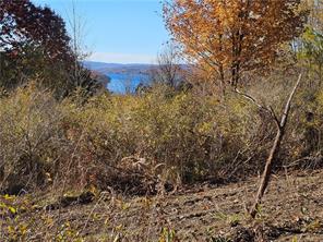 Finger Lake Real Estate Property - R1563091