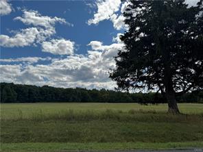 Finger Lake Real Estate Property - S1636218