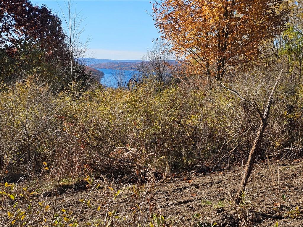Finger Lake Real Estate Property - R1563091