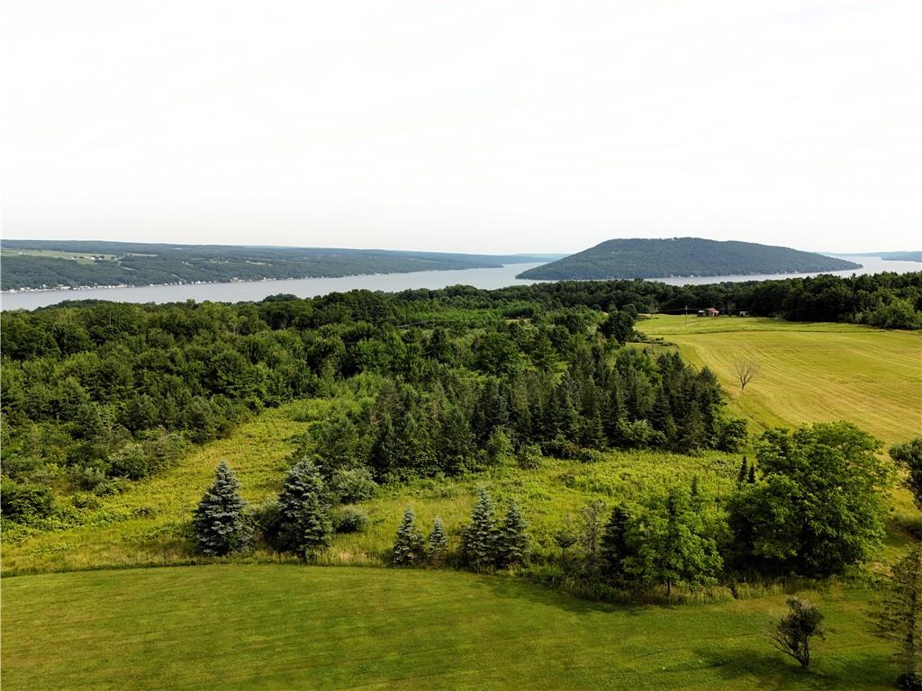 Finger Lake Real Estate Property - R1568062