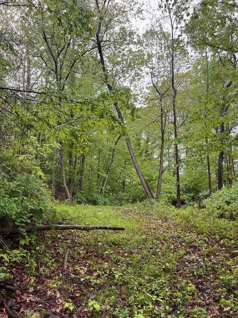Finger Lake Real Estate Property - R1608542