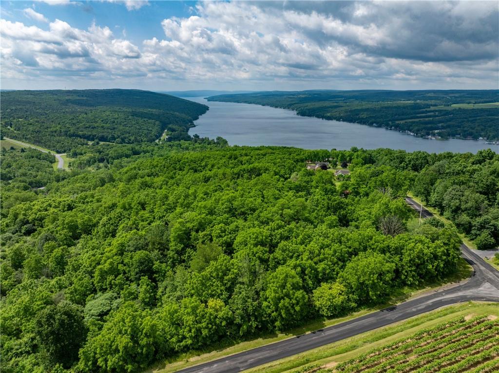 Finger Lake Real Estate Property - R1615740