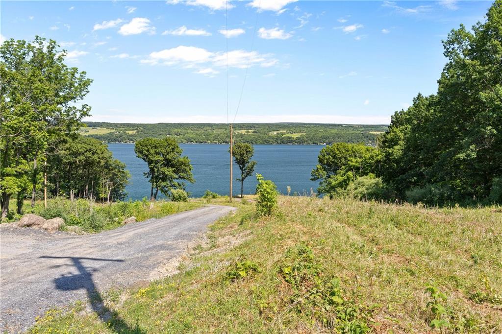 Finger Lake Real Estate Property - R1616634