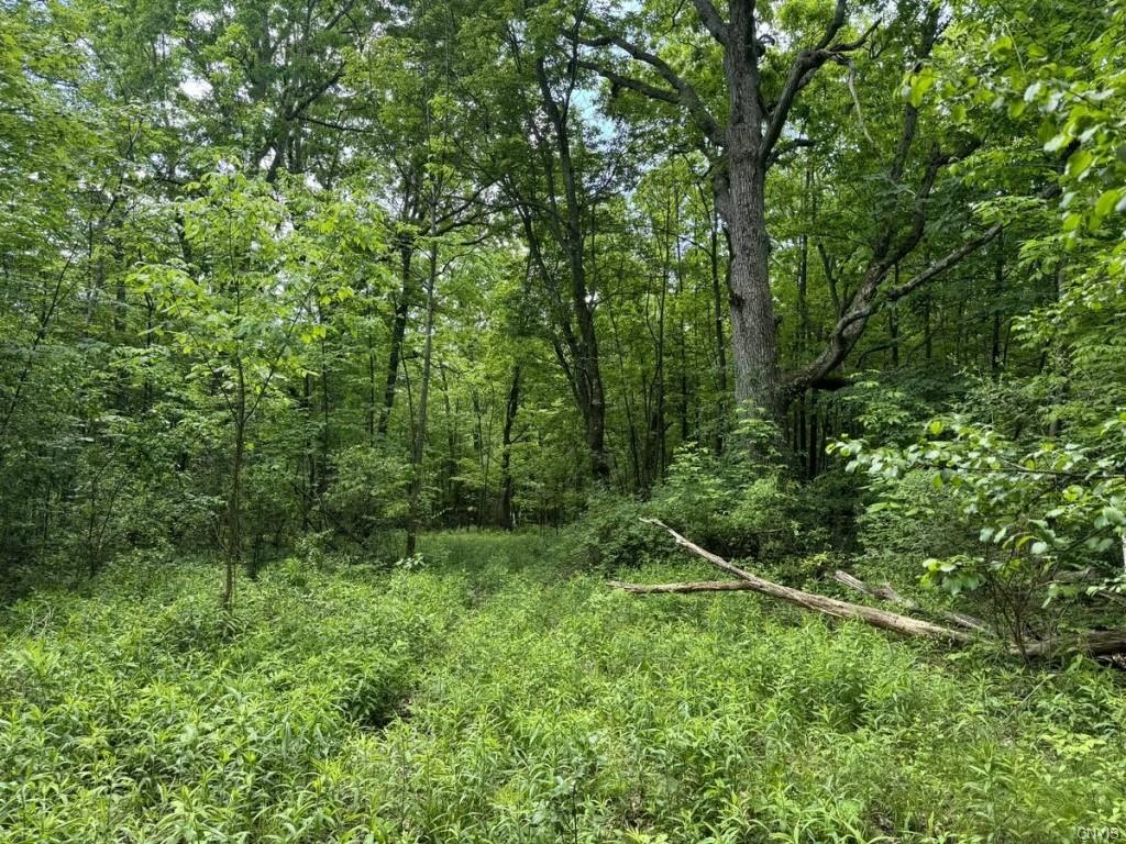 Finger Lake Real Estate Property - S1619667
