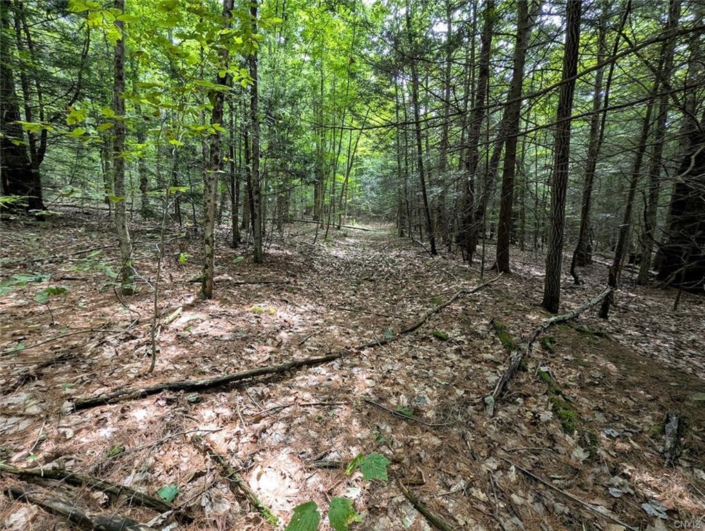 Finger Lake Real Estate Property - S1631714
