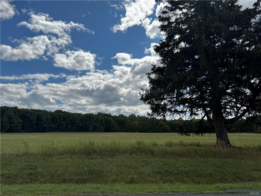 Finger Lake Real Estate Property - S1636218