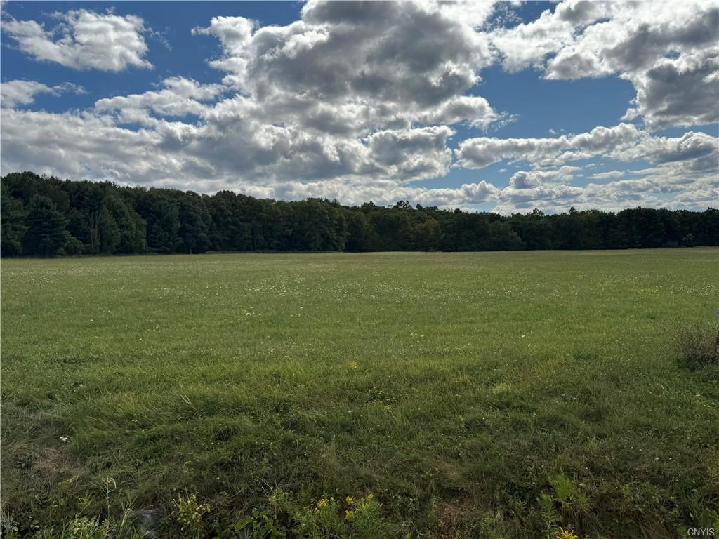 Finger Lake Real Estate Property - S1636239