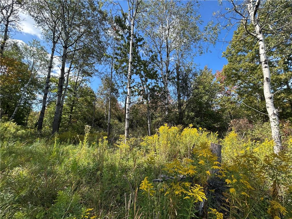 Finger Lake Real Estate Property - R1638470