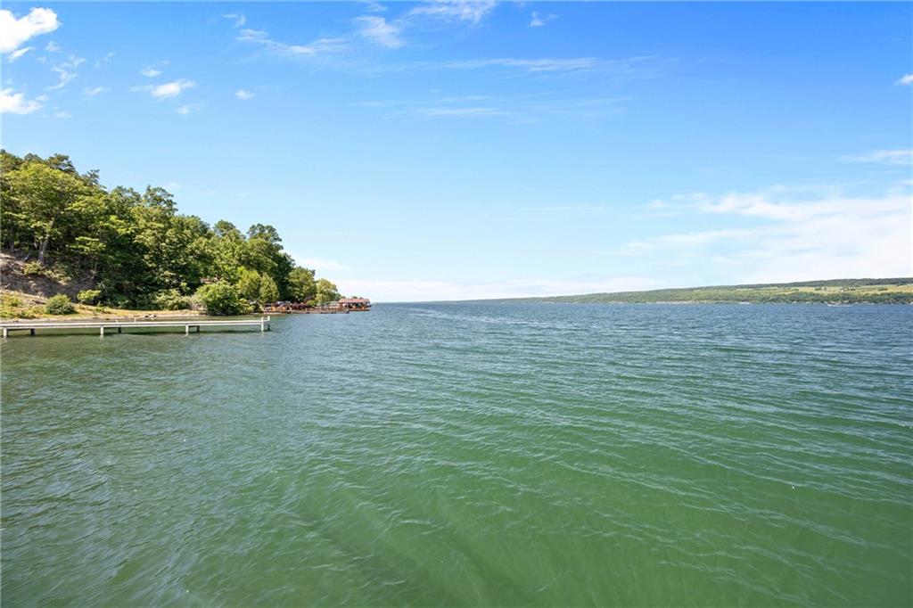 Finger Lake Real Estate Property - R1645541