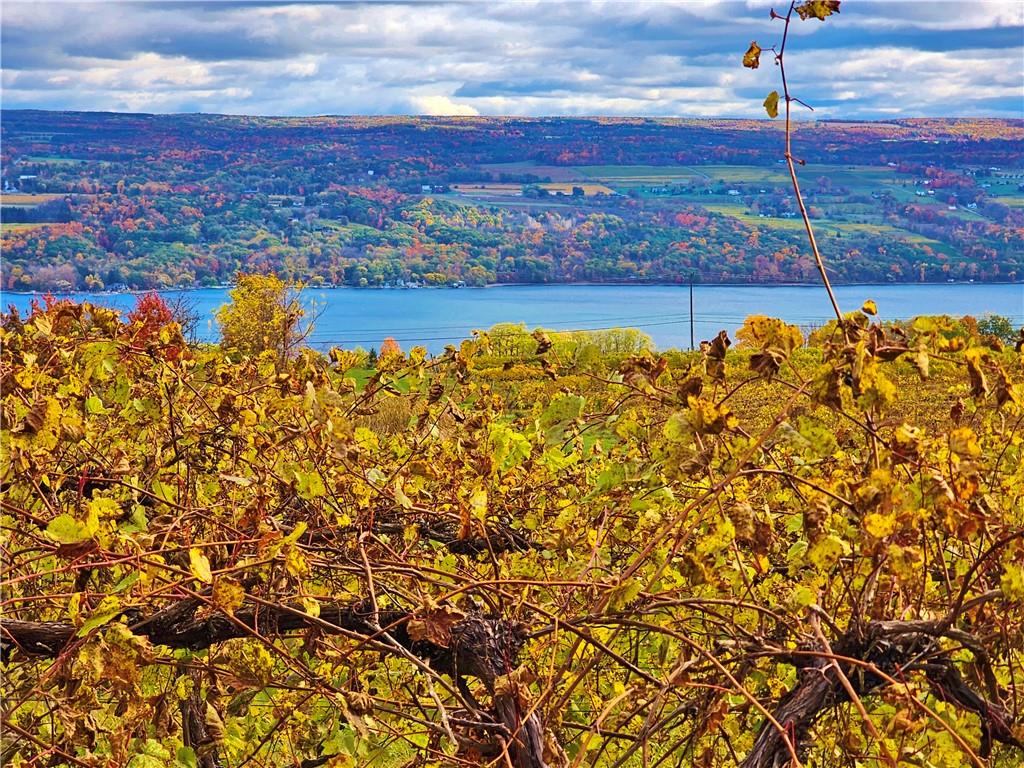 Finger Lake Real Estate Property - R1647158