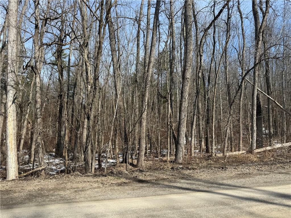 Finger Lake Real Estate Property - R1664593