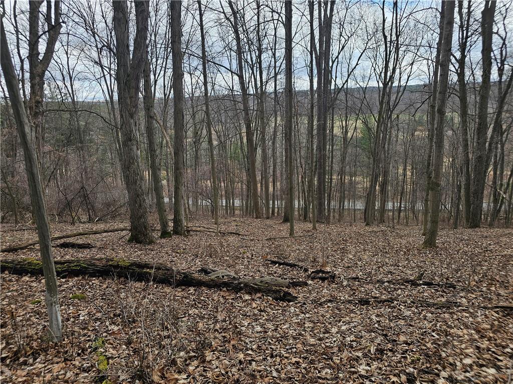 Finger Lake Real Estate Property - R1671874