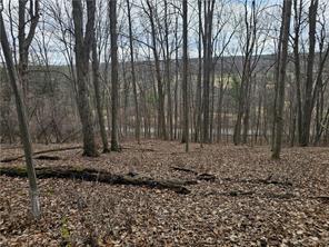 Finger Lake Real Estate Property - R1671874