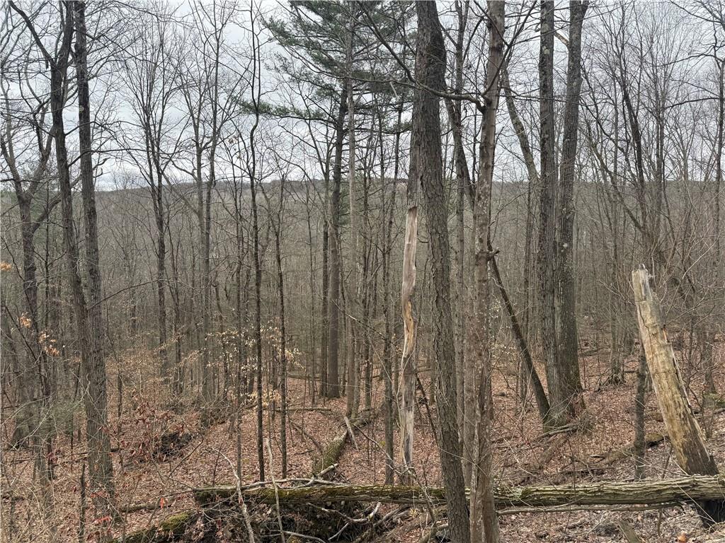 Finger Lake Real Estate Property - R1672756