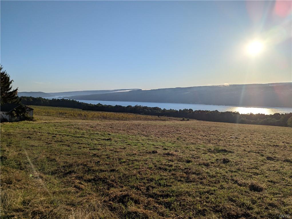 Finger Lake Real Estate Property - S1673247