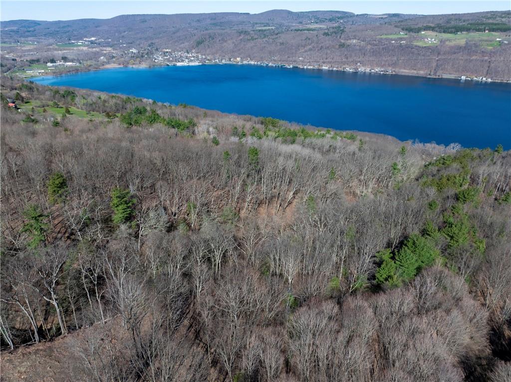 Finger Lake Real Estate Property - R1674525