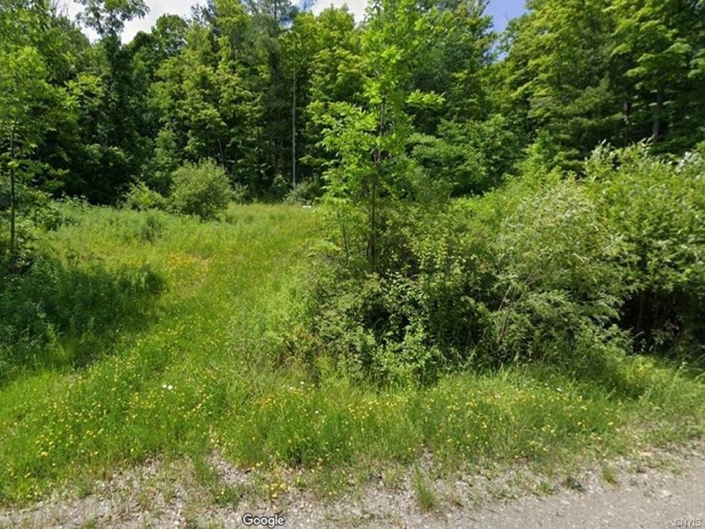 Finger Lake Real Estate Property - S1675725