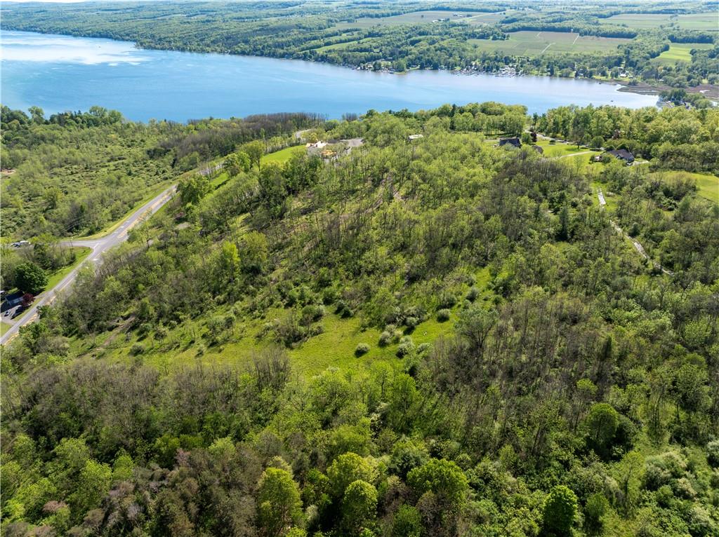 Finger Lake Real Estate Property - R1684820