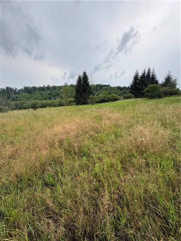 Finger Lake Real Estate Property - R1705610