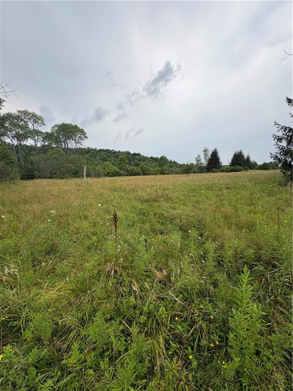 Finger Lake Real Estate Property - R1705758