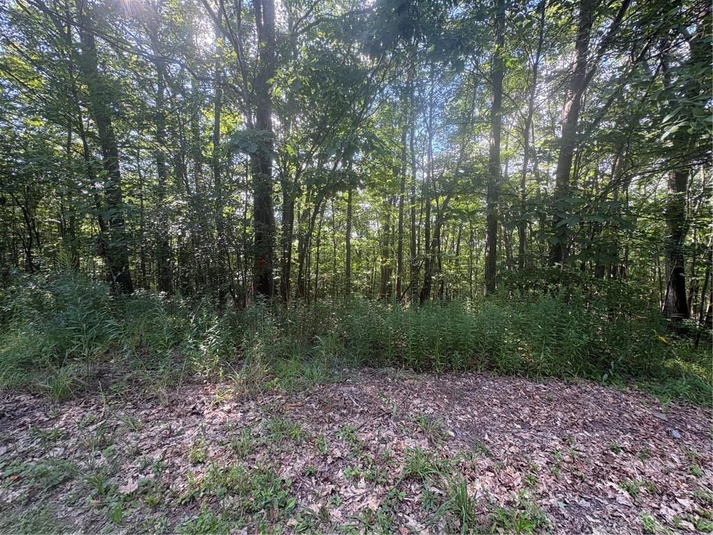 Finger Lake Real Estate Property - R1708433